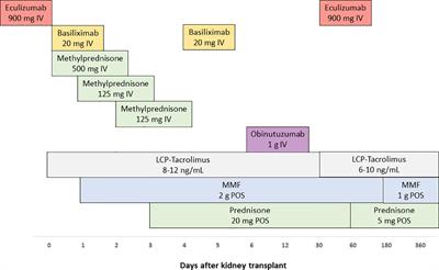 Case report: Eculizumab plus obinutuzumab induction in a deceased donor kidney transplant recipient with DEAP-HUS